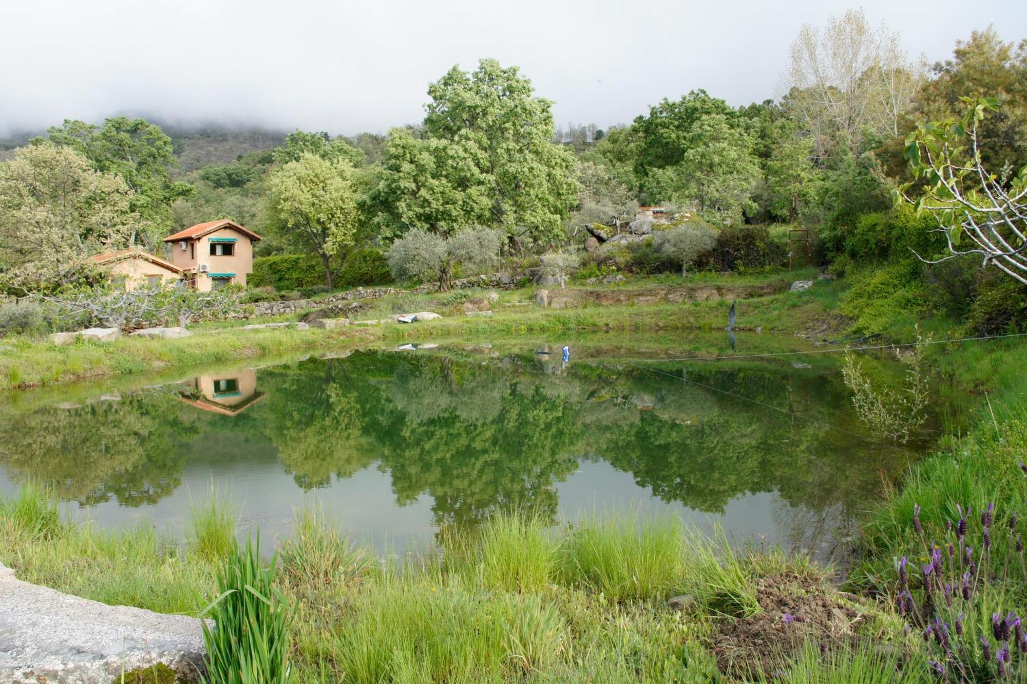 Hotel Rural El Camino Candeleda Bagian luar foto